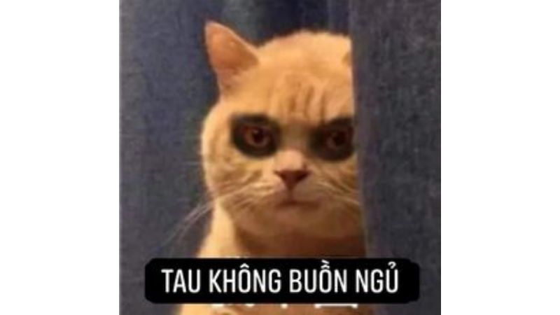 Tổng hợp 100 ảnh meme hài bựa, gây cười “bể bụng”