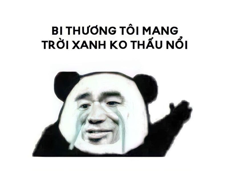 101 Meme Buồn Cute, Vừa Hài Vừa Thương