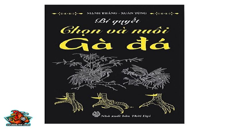 Cách xem ngày đá gà, chọn ngày tốt để đi đá gà