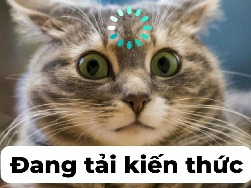 Anh da đen là ai? Top các meme anh da đen cực hài hước được cộng đồng mạng yêu thích