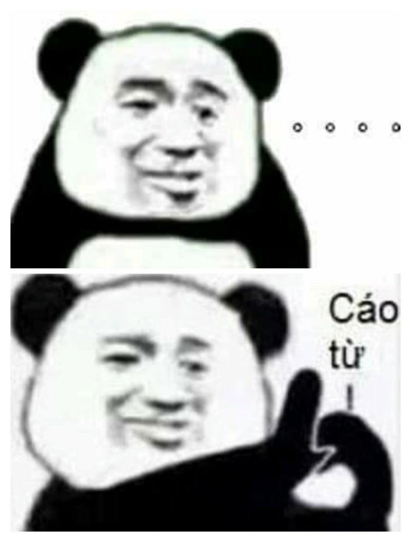 Meme gấu Trung Quốc và hải ly ấn tượng siêu hài hước