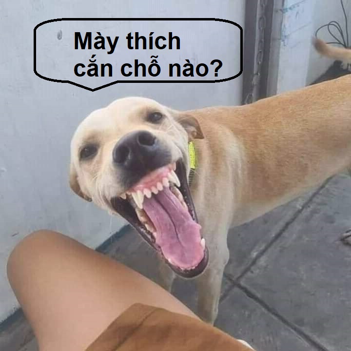 Tổng hợp 111+ meme cười đểu, vui nhộn, cười chảy nước mắt