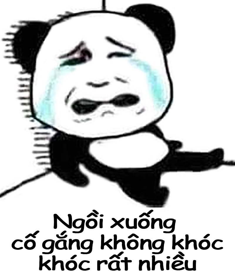 Meme gấu Trung Quốc và hải ly ấn tượng siêu hài hước