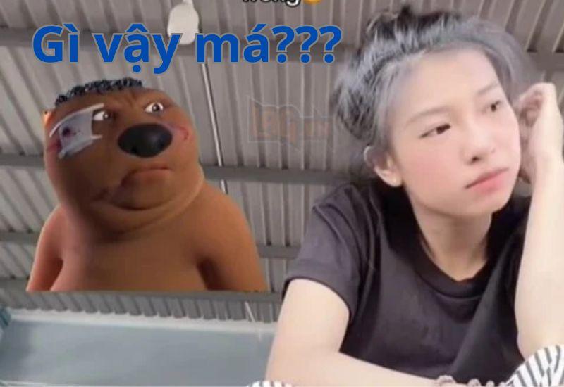 Meme gấu Trung Quốc và hải ly ấn tượng siêu hài hước