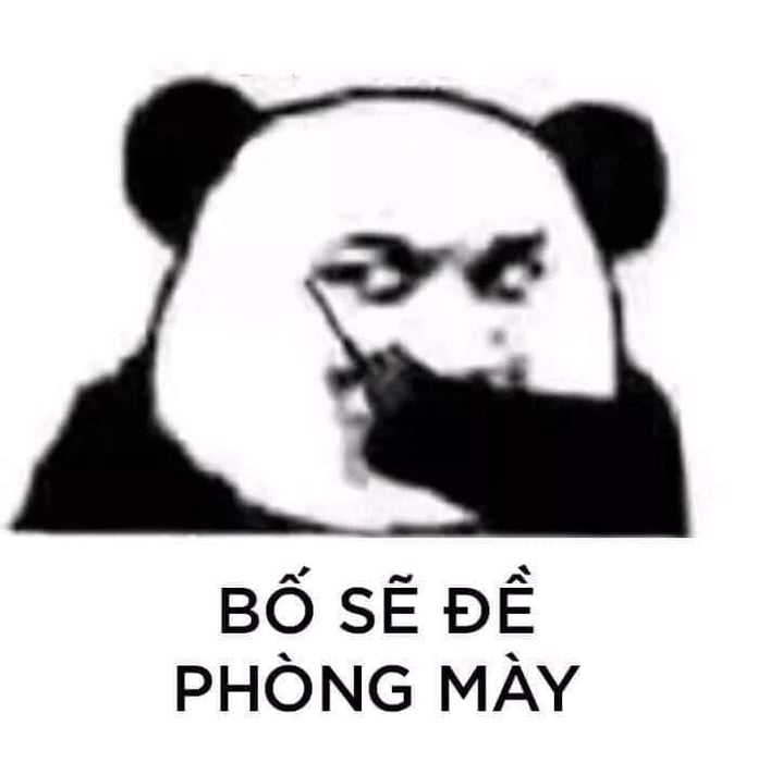 Đồng hành cùng bộ sưu tập meme gấu trúc Weibo hài bá đạo