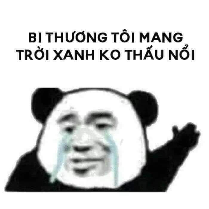 Đồng hành cùng bộ sưu tập meme gấu trúc Weibo hài bá đạo