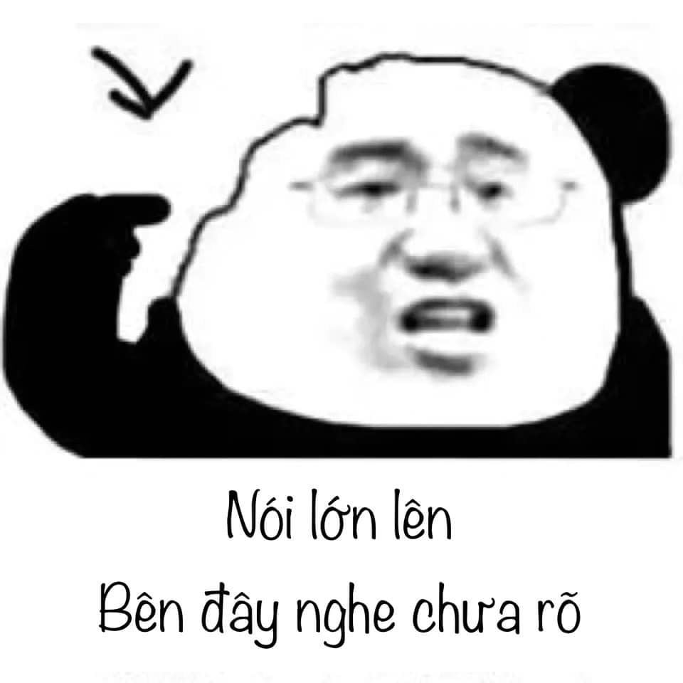 Tổng hợp meme gấu trúc weibo hài hước, độc, bá đạo