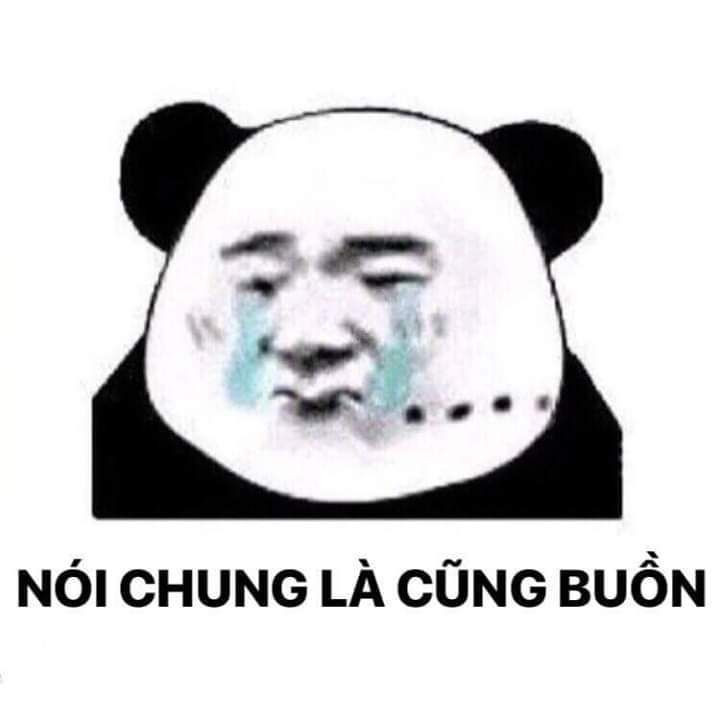 Tổng hợp meme gấu trúc weibo hài hước, độc, bá đạo