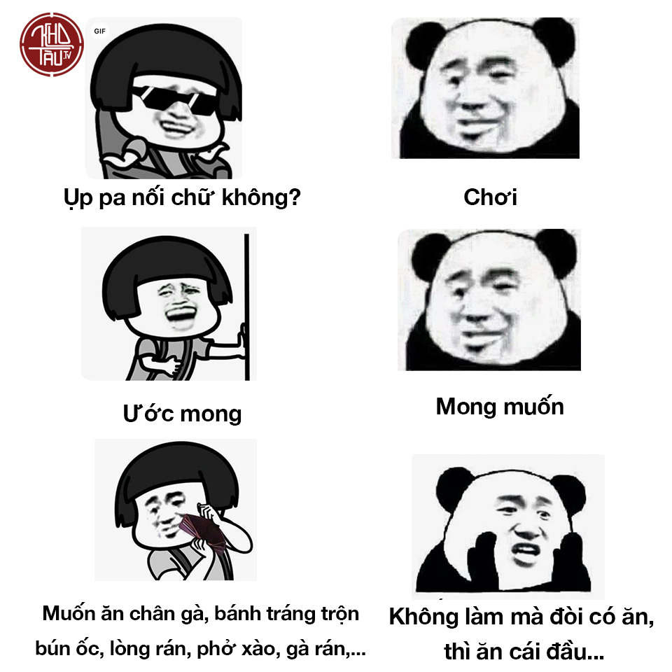 Tổng hợp meme gấu trúc weibo hài hước, độc, bá đạo