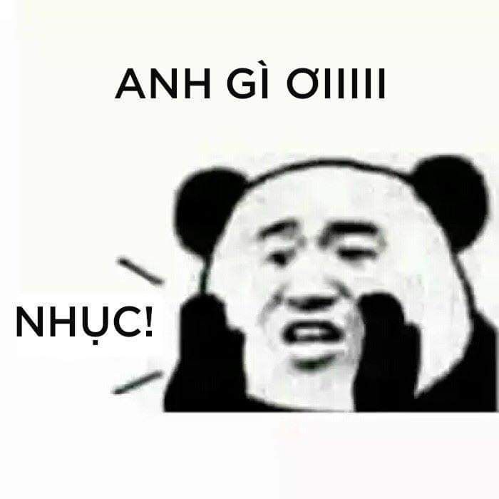 Tổng hợp meme gấu trúc weibo hài hước, độc, bá đạo