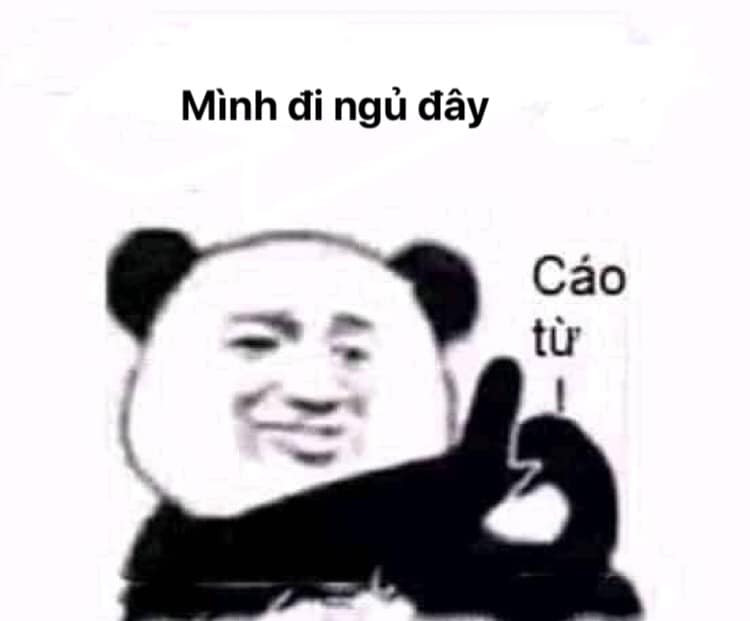 Tổng hợp meme gấu trúc weibo hài hước, độc, bá đạo