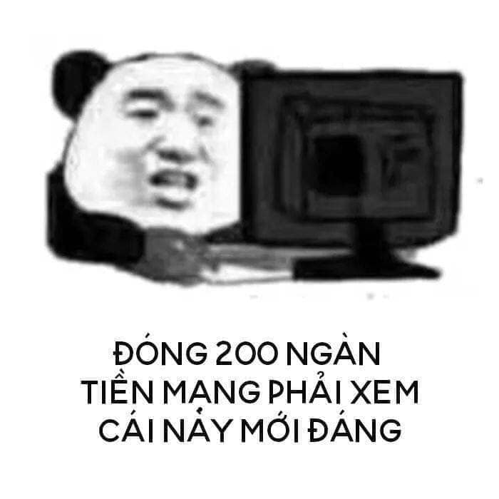 Tổng hợp meme gấu trúc weibo hài hước, độc, bá đạo