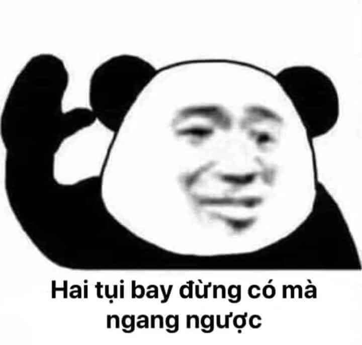 Tổng hợp meme gấu trúc weibo hài hước, độc, bá đạo