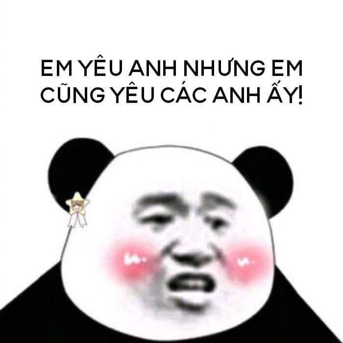 Tổng hợp meme gấu trúc weibo hài hước, độc, bá đạo