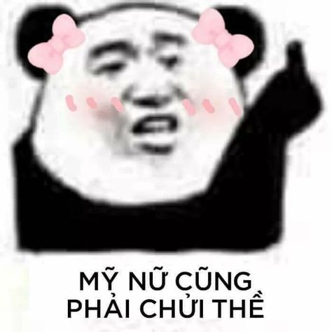 Tổng hợp meme gấu trúc weibo hài hước, độc, bá đạo