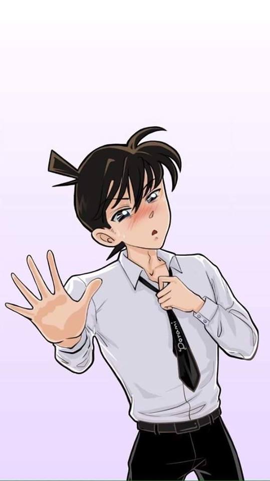 Những hình ảnh Shinichi và Ran đẹp nhất