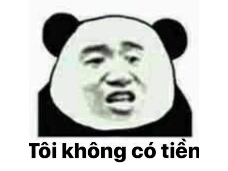 Tổng hợp 100 meme gấu trúc hài hước, hóm hỉnh và cực kỳ bá đạo