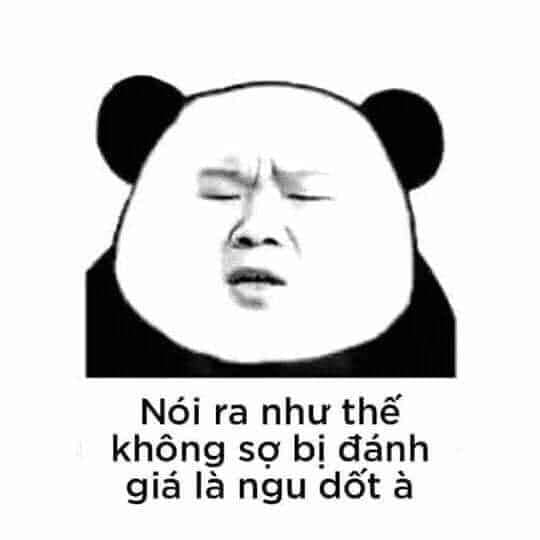 100+ hình gấu trúc meme hài, bựa hot nhất, lưu ngay về máy