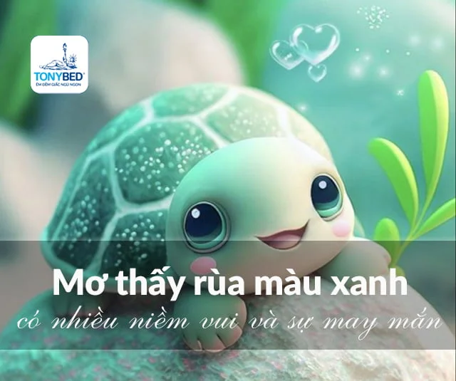 Mơ thấy rùa: Điềm báo gì? May mắn hay xui xẻo?