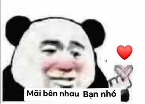 100+ hình gấu trúc meme hài, bựa hot nhất, lưu ngay về máy