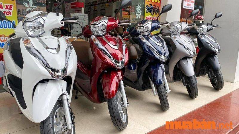 Mua Bán Xe Honda Lead Cũ Giá Rẻ, Mới Nhất T10/2024