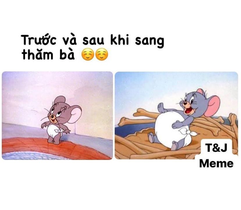 Tổng hợp bộ Tom and Jerry meme cực hài hước dễ thương