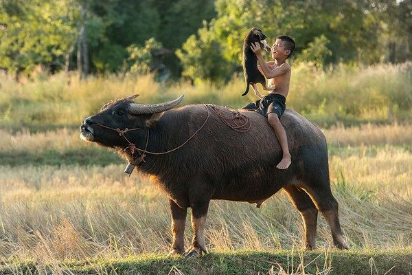 Những bức ảnh tuyệt đẹp về tuổi thơ của trẻ em trên toàn thế giới