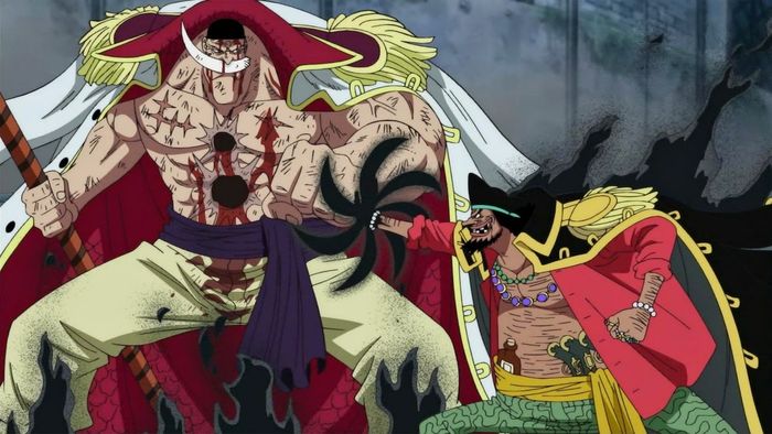 Khám phá bộ sưu tập Hình nền Râu Trắng One Piece đẹp nhất