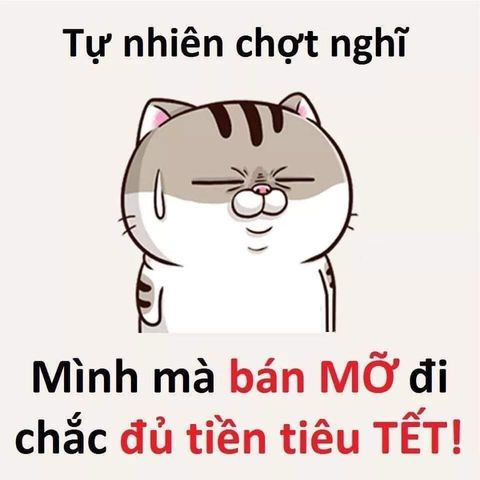 Bộ sưu tập Meme Tết hài hước